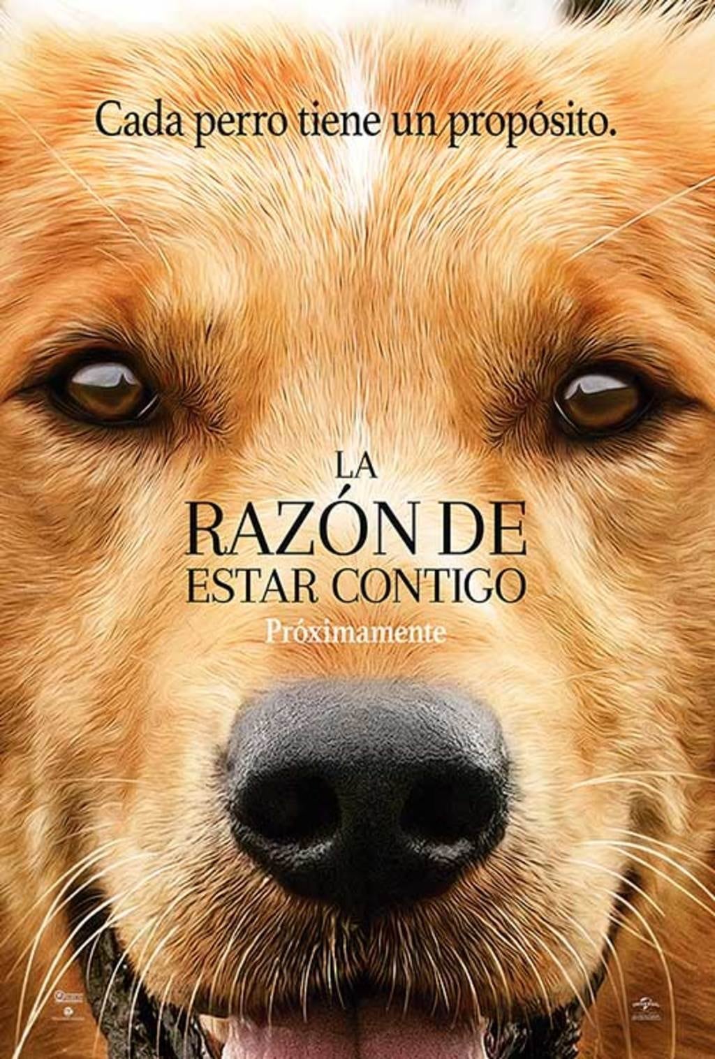 La razón de estar contigo (2017)