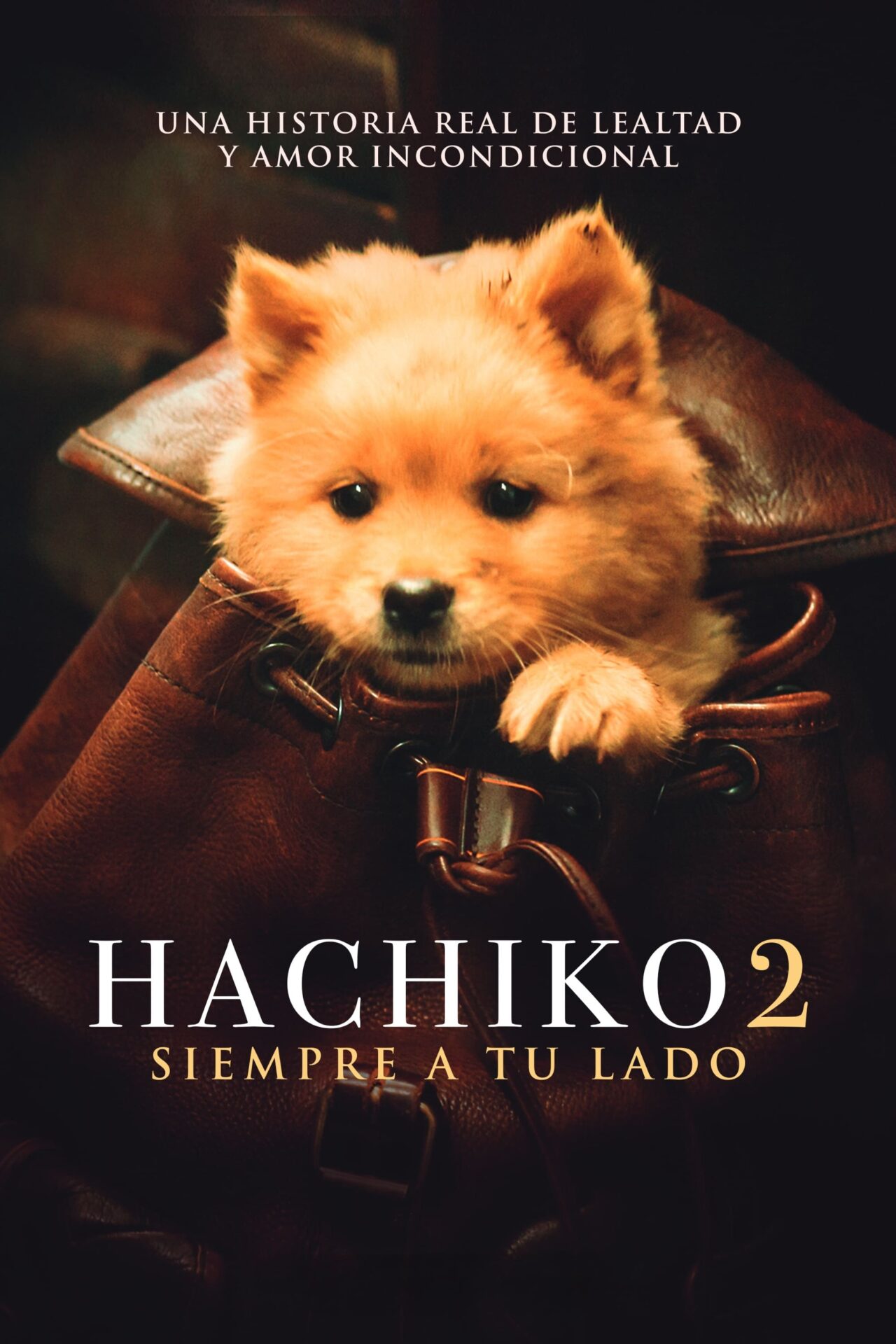 Hachiko 2: Siempre a tu Lado (2024)