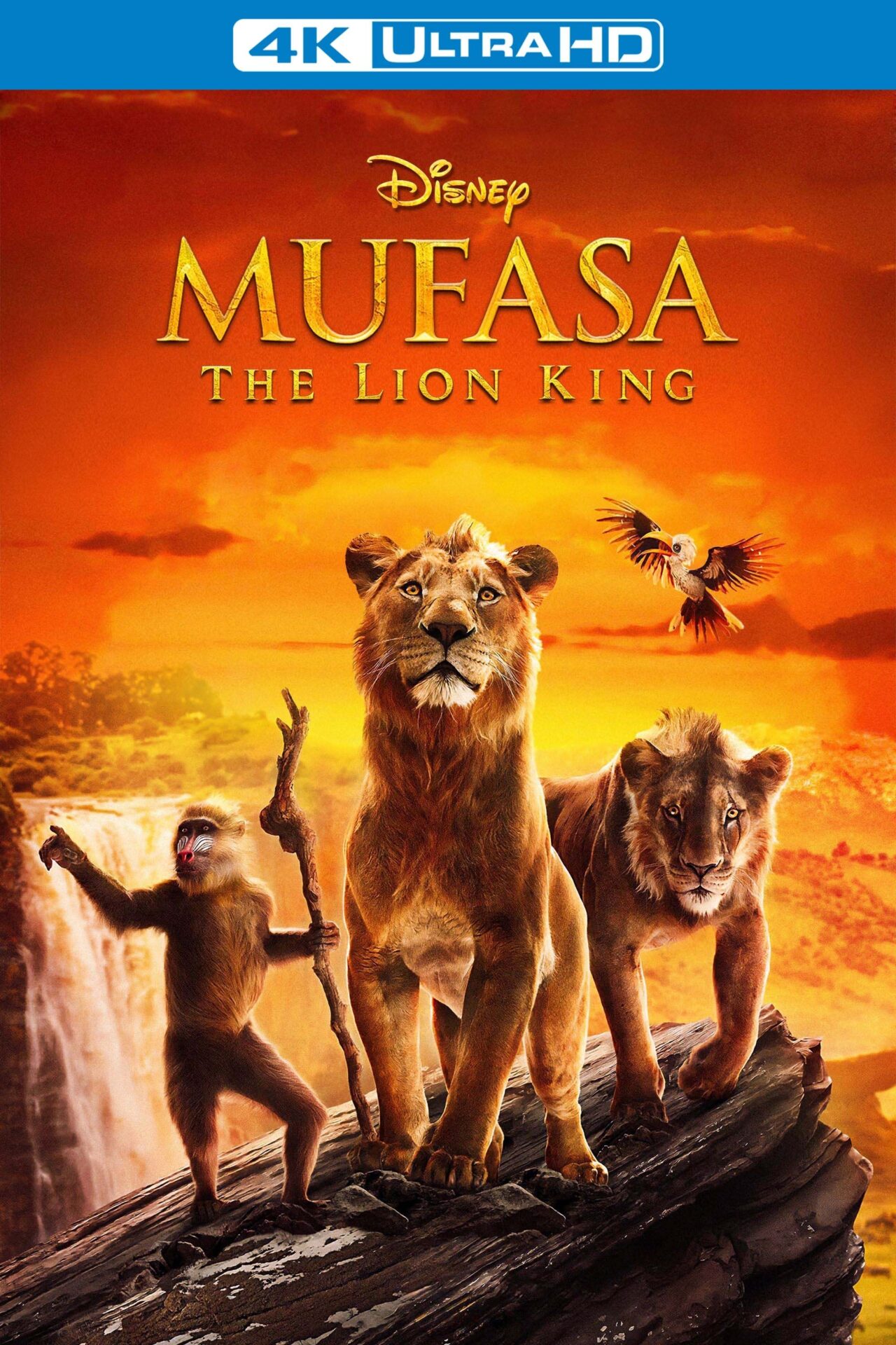 Mufasa: El rey león (2024) 4K HDR