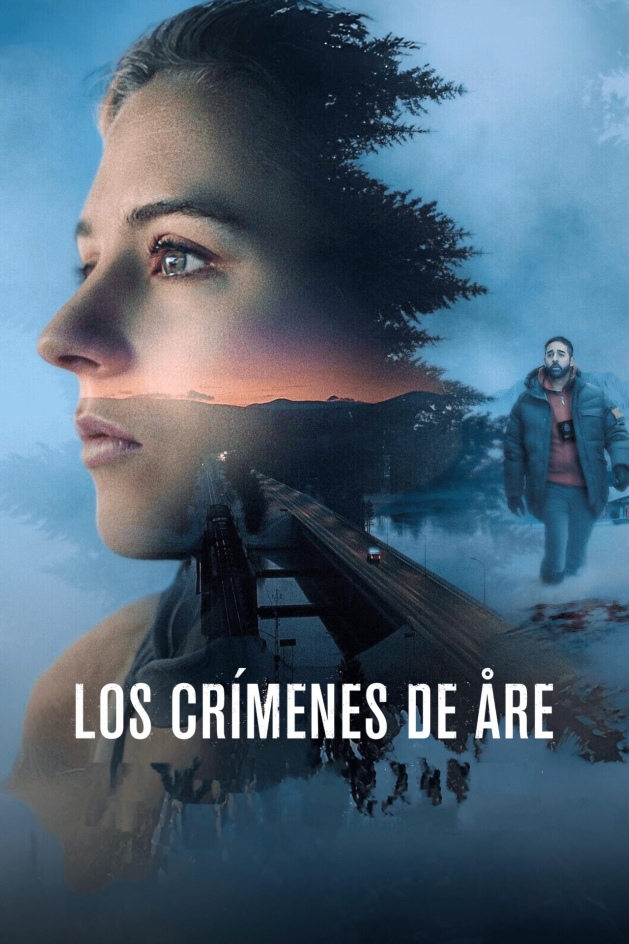 Los crímenes de Åre (2025)