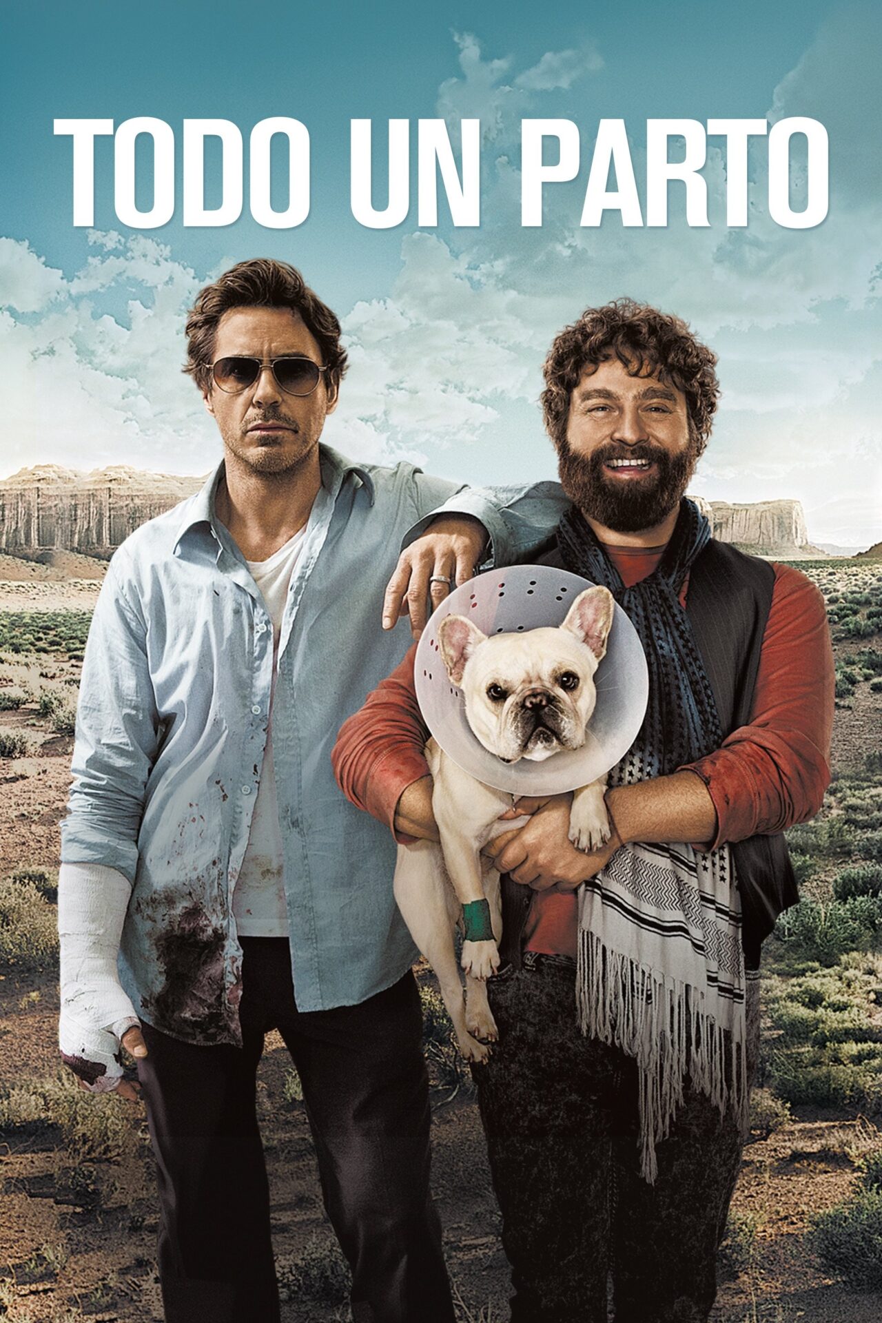 Todo un parto (2010)